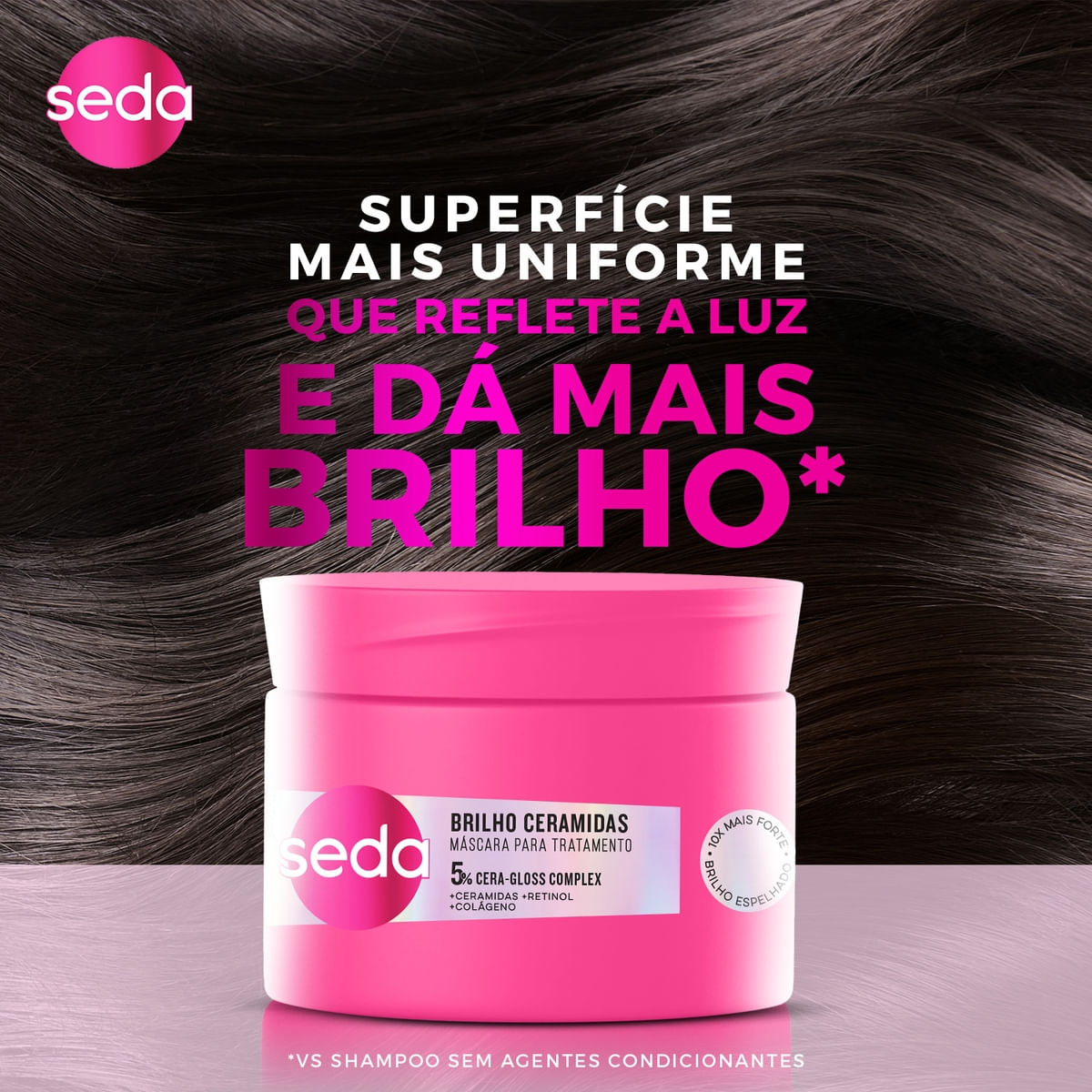 Mascara de Tratamento Seda Brilho Ceramidas 300g