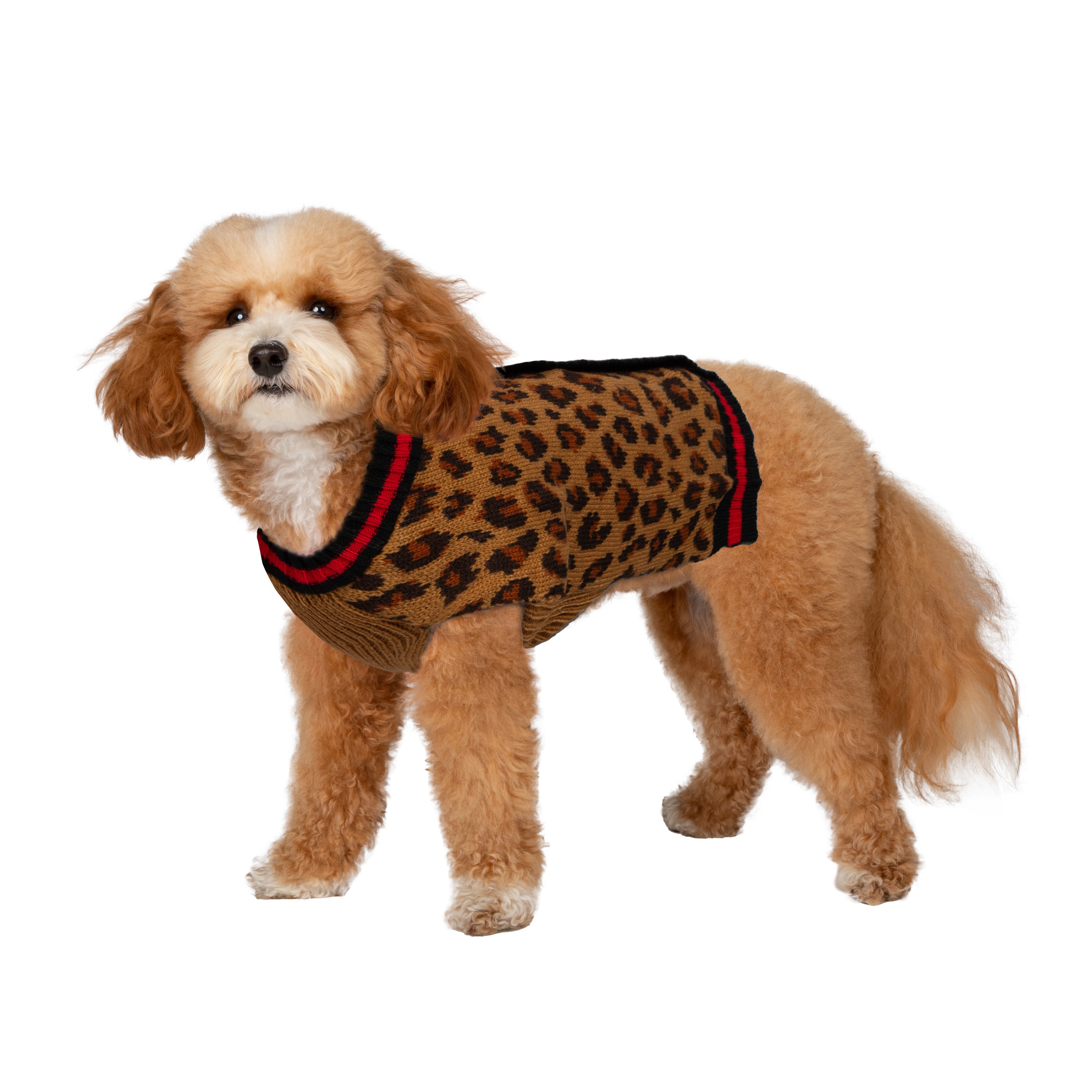 Christian Siriano， Dog Clothes， Animal Print Dog or Cat Sweater， Multi-Colored， XS