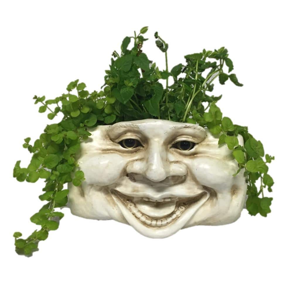 HOMESTYLES 10.5 in. Aunt Minnie Ant. White the Muggly Tree Wall Planter 39645