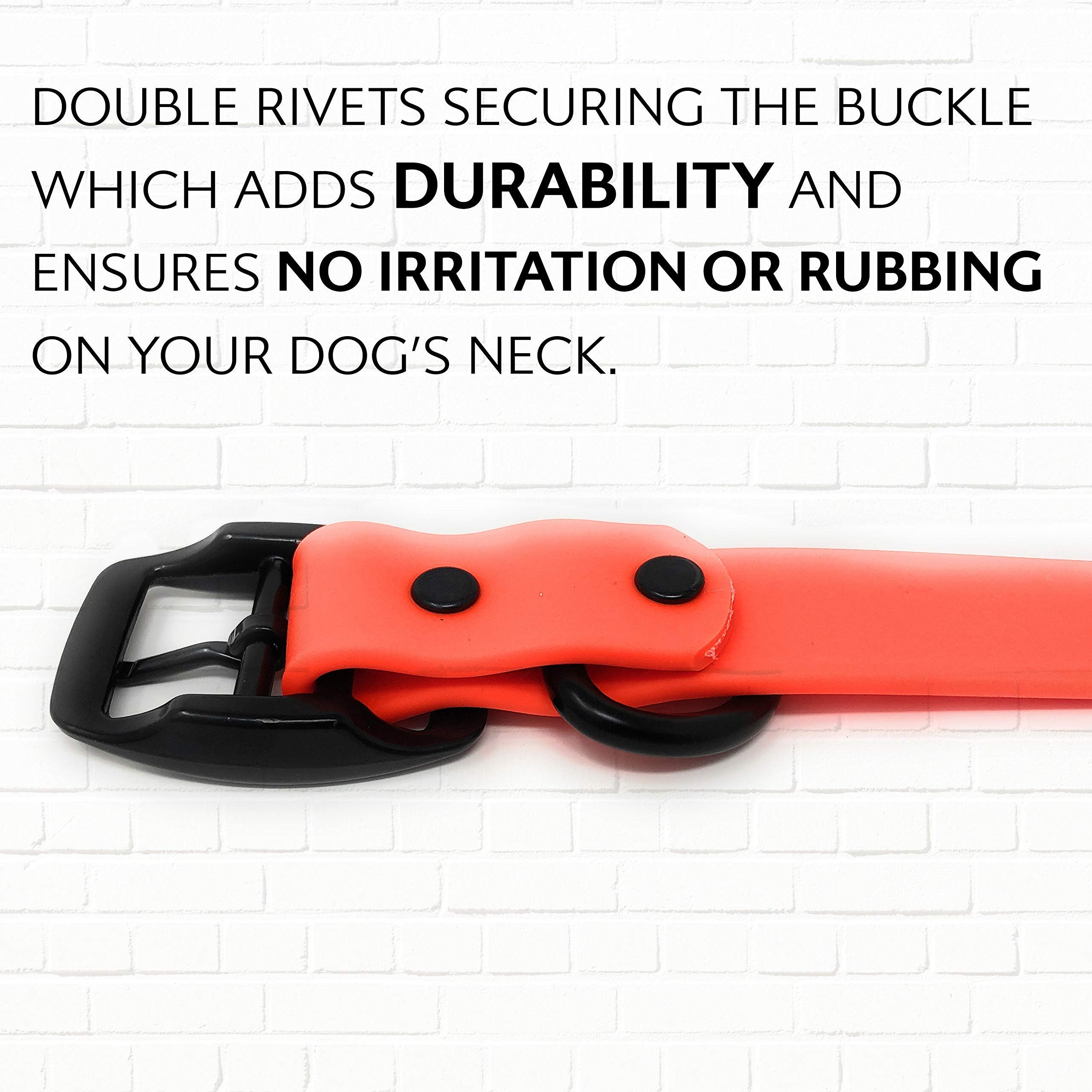 Regal Dog Products Reflective Waterproof Hunting Dog Collar with Heavy Duty Black Hardware Center Ring and Buckle