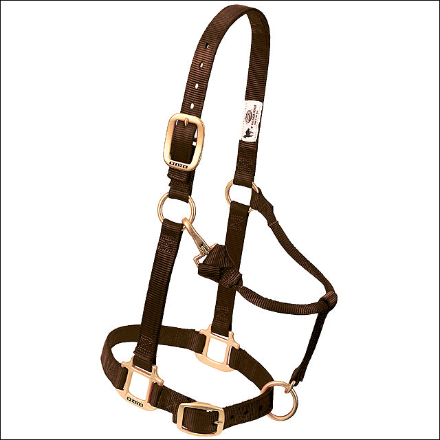Weaver Leather Original Adjustable Nylon Horse Halter， Large Horse， Brown