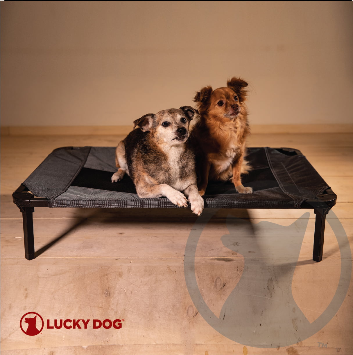 Lucky Dog 30'' Elevated Pet Bed Comfort Cot - Gray