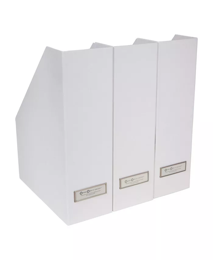 Bigso Box of Sweden Viktoria Mag File， Set of 3