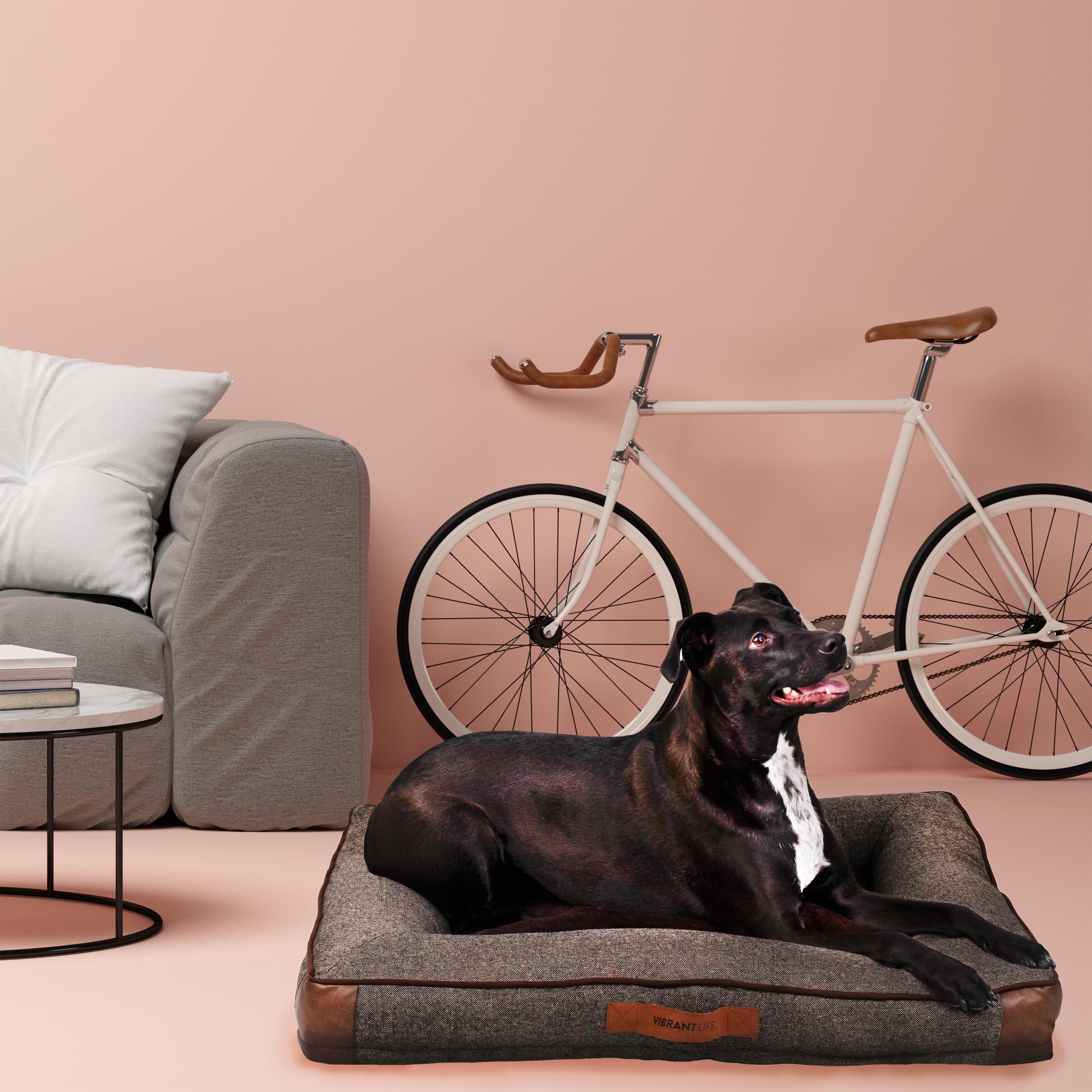 Vibrant Life Large Comfort Orthopedic Bolster-Style Dog and Cat Bed， Brown