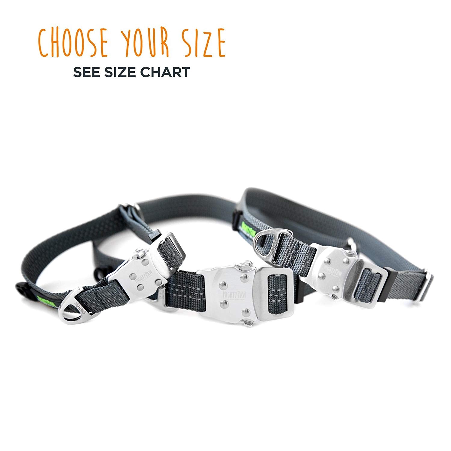 Mighty Paw Metal Buckle Dog Collar， All Metal Hardware， Lightweight Collar， Reflective Stitching， Strong， Durable (Medium， Grey)