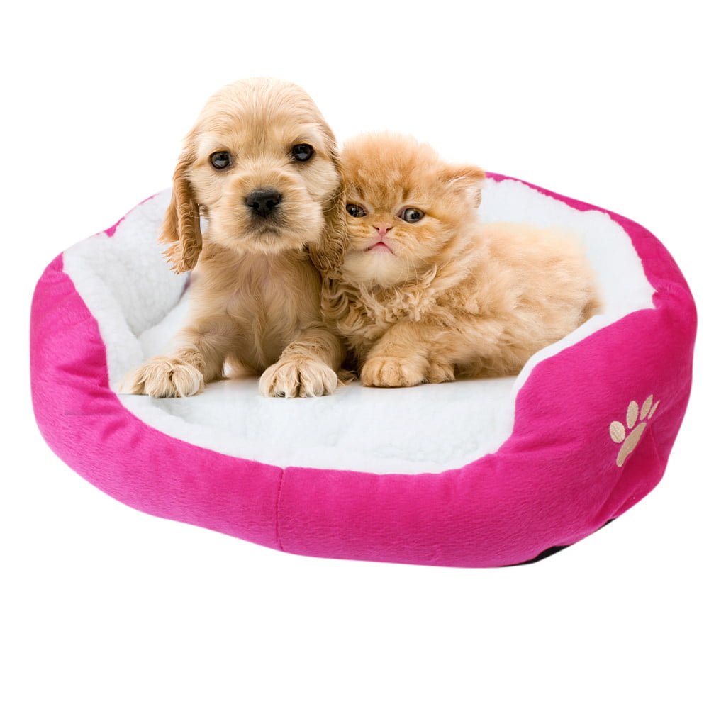 Oalirro Sales Clearance Pet Bed， Self-Warming Indoor Puppy Cushion Doghouse Soft Fleece Pet Dog Cat Bed Indoor Pillow Cuddler for Small Dogs and Cats (19.68*15.75in)