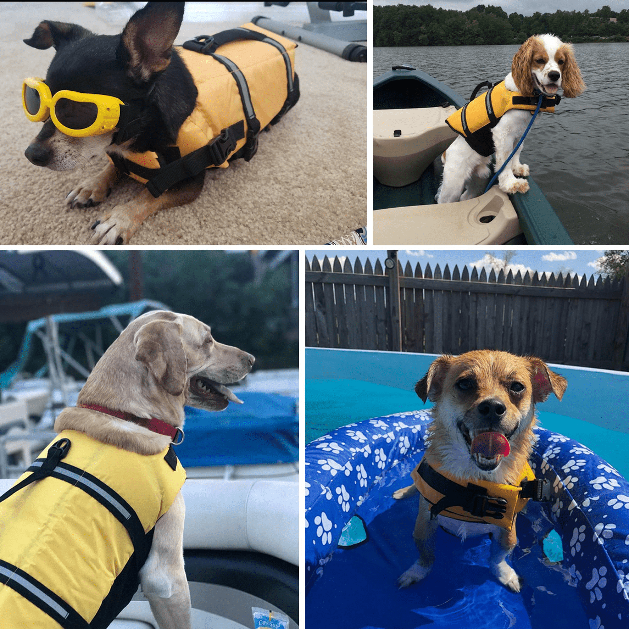 Coloody Dog Life Jacket Safety Swimsuit with Reflective Stripes for Doggie