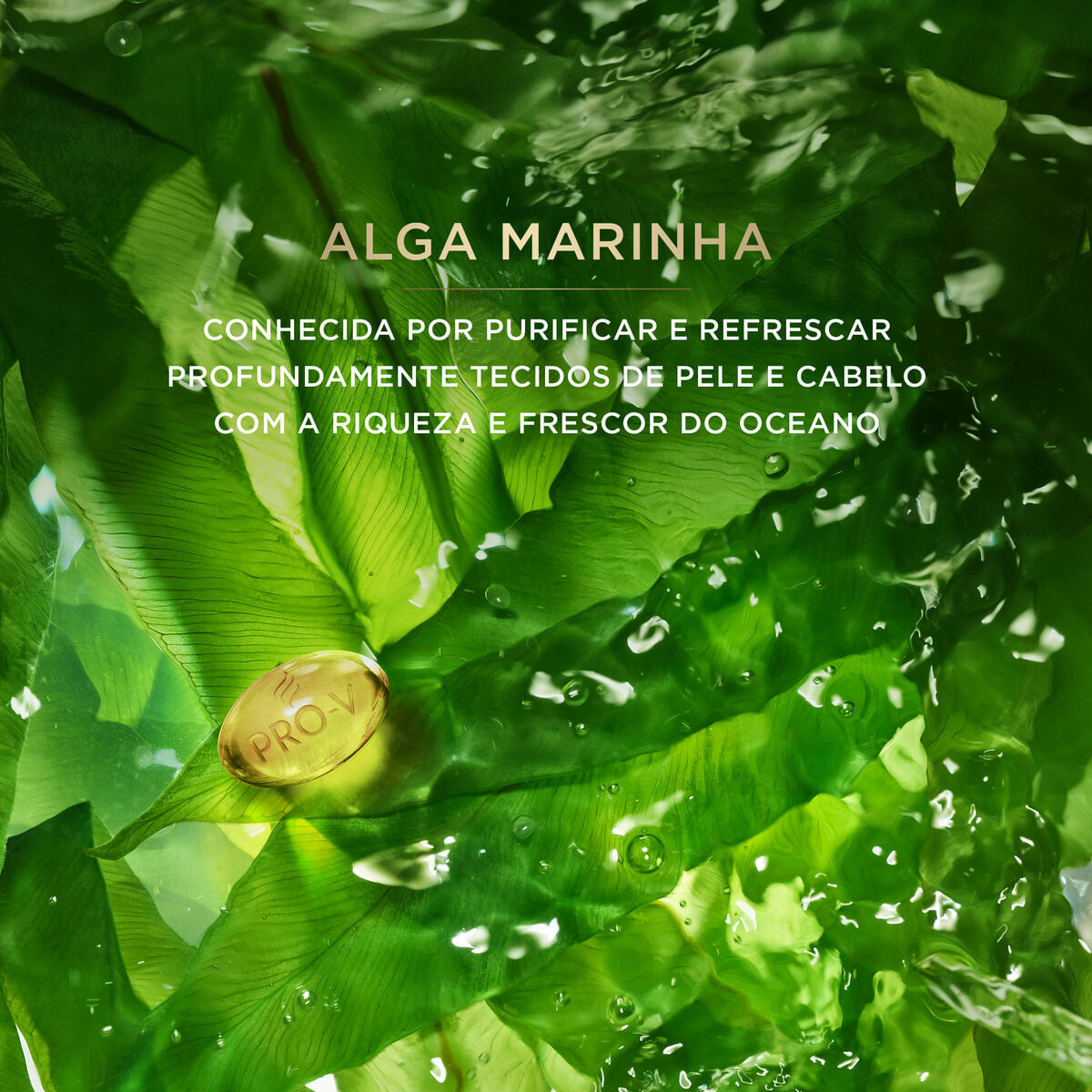 Condicionador Pantene Pro-V Miracles Equilibrio Raiz e Pontas 510ml