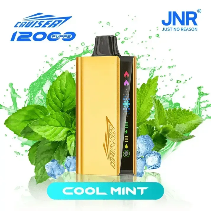 ❄️ JNR Cruiser 12K – Cool Mint Disposable Vape 🌿