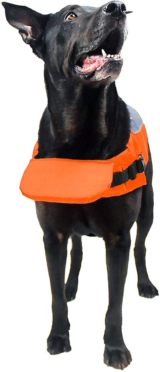 DogLine - Dog Life Jacket Dog Life Vest for Swimming and Boating in Hi-Viz Colors with Reflective Strips Mesh Underbelly for Draining and Drying and Top Carry Handle(Neon Orange: Girth 11