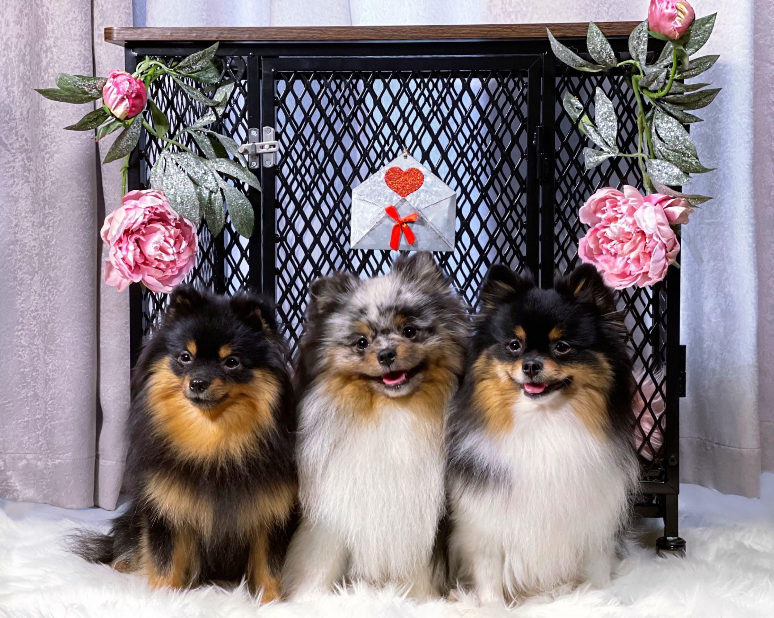 Morgete Dog Crate Furniture Wooden Dog House Small Medium Large Dogs with Cushion Tray