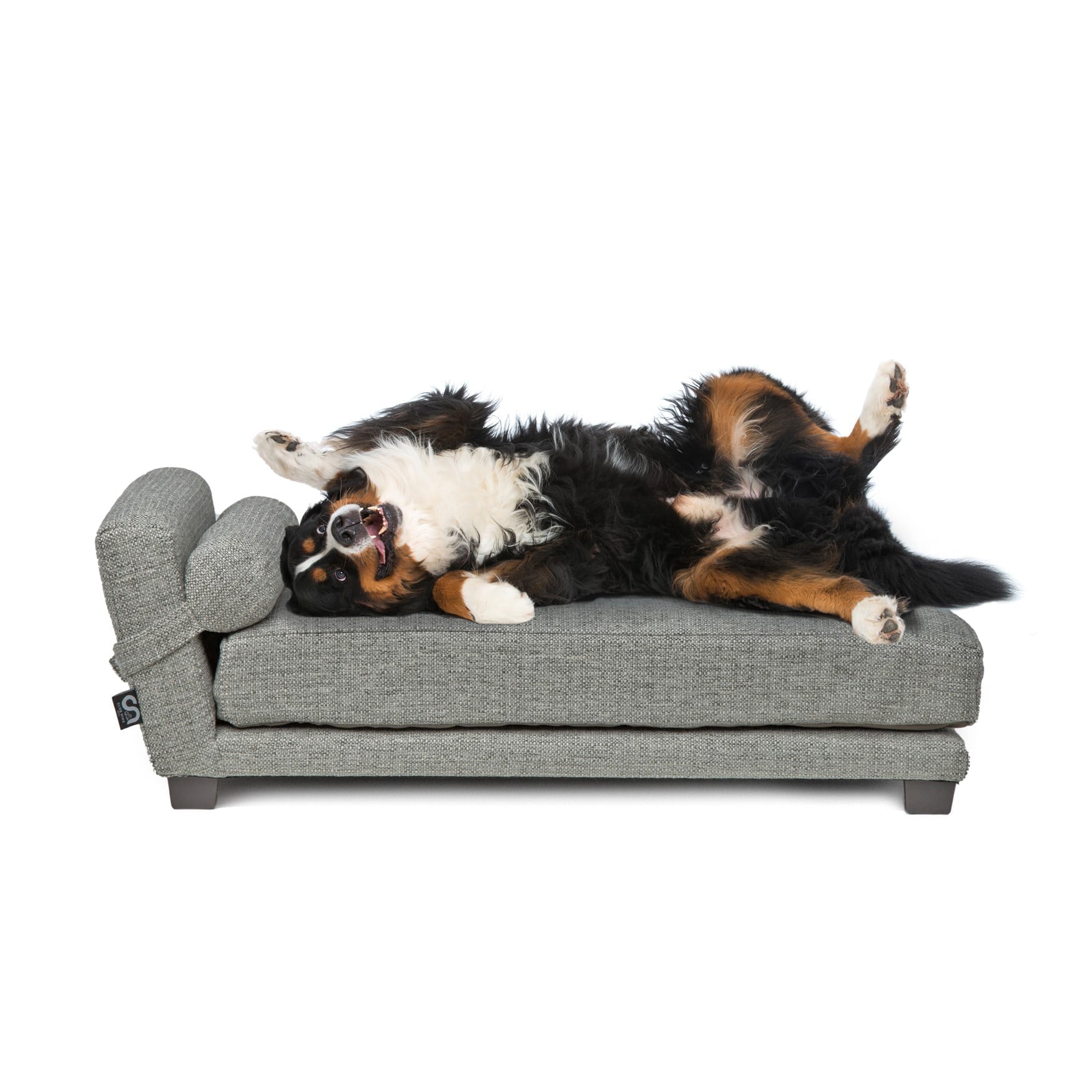 Club Nine Pets Bada Orthopedic Dog Bed， Small， Metal.