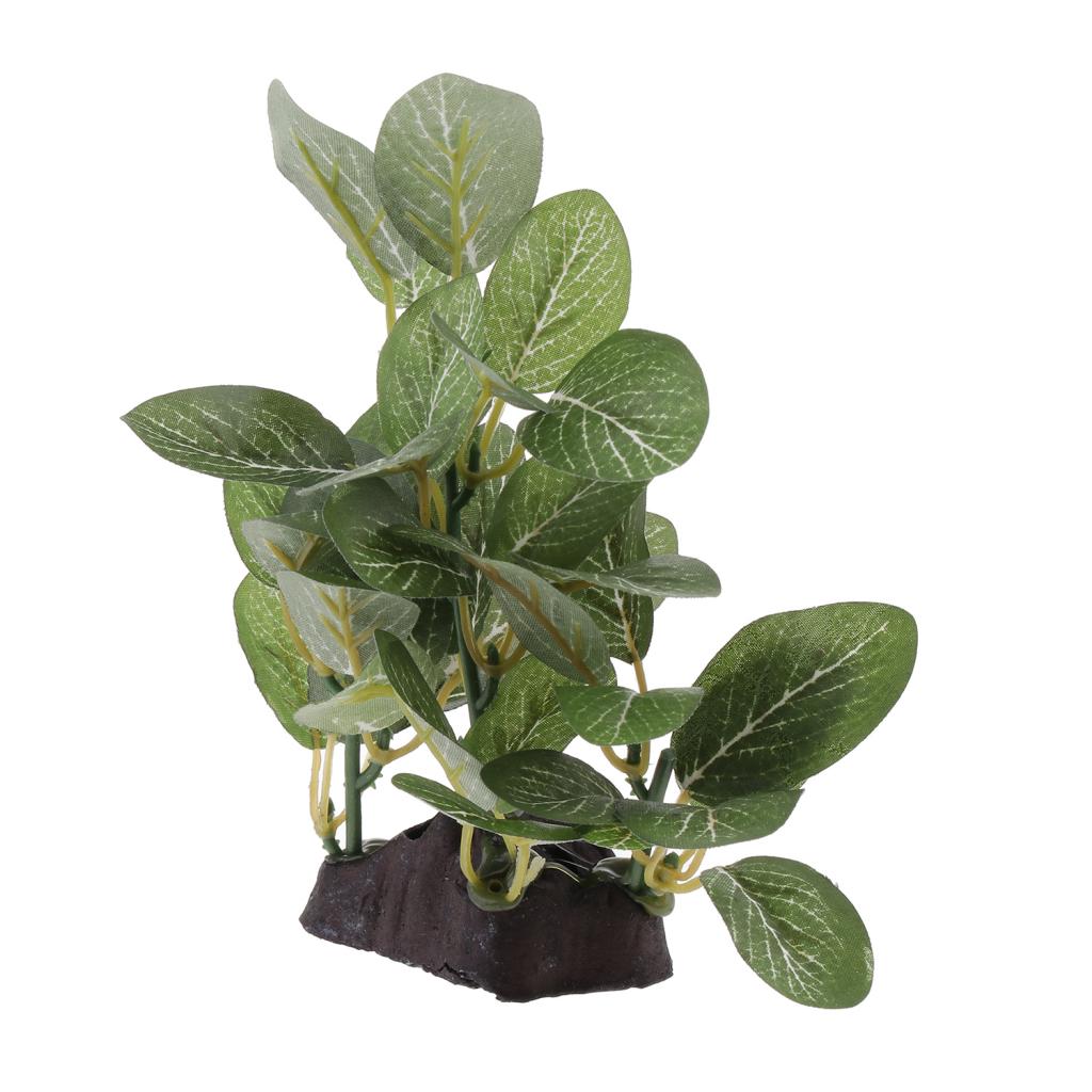 Terrarium Plant Bearded ，Lizards，Geckos， Reptile Habitat Type 2