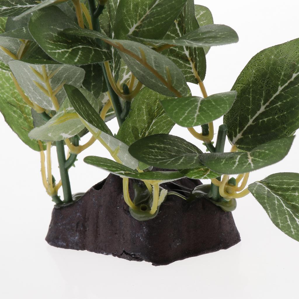 Terrarium Plant Bearded ，Lizards，Geckos， Reptile Habitat Type 2