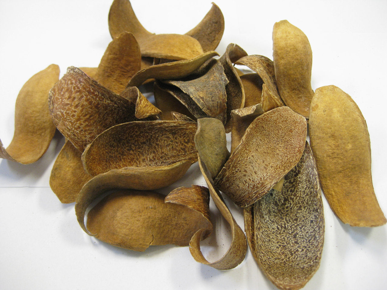 1261 pk50 Mahogany Spoons