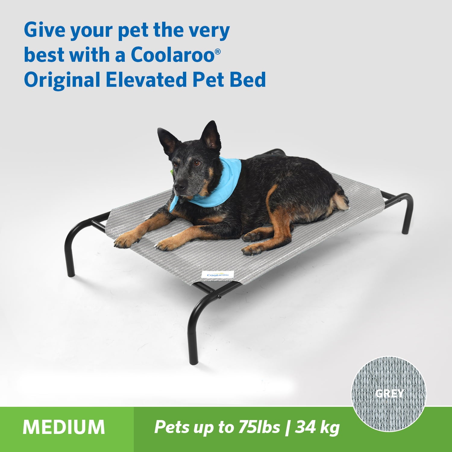 The Original Coolaroo Elevated Pet Dog Bed for Indoors and Outdoors， Medium， Gray