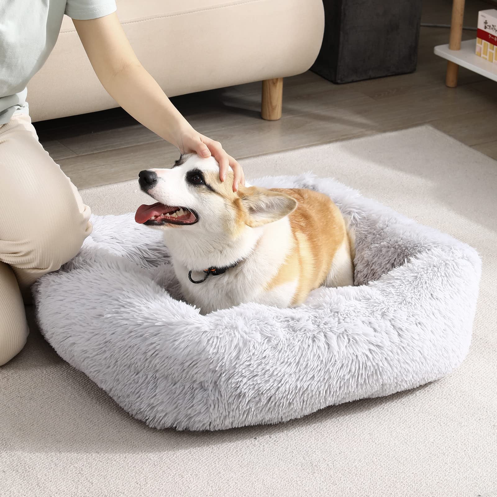 Rectangle Plush Dog Bed Cat Beds for Small Dogs，Washable Medium Pet Beds Medium（26x22x7in，Under 25 lbs）， Lightgrey