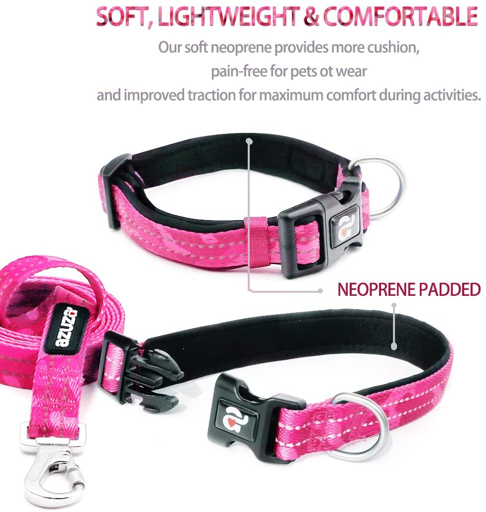 azuza Reflective Dog Collar and Leash Set Padded Collar with Matching Clip Handle Leash