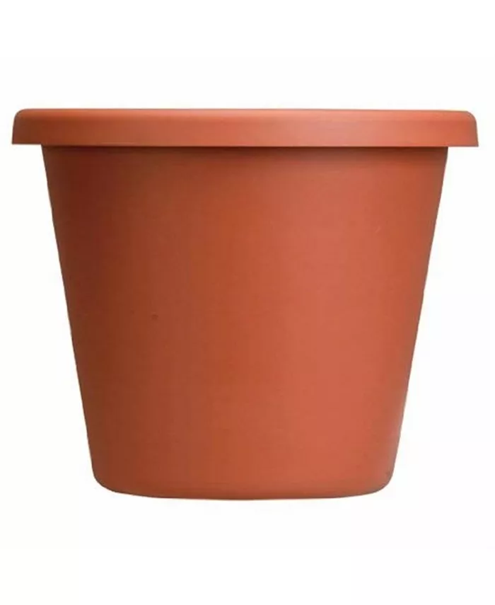 Akro Mils Plastic Classic Pot， Clay Color， 6-Inch