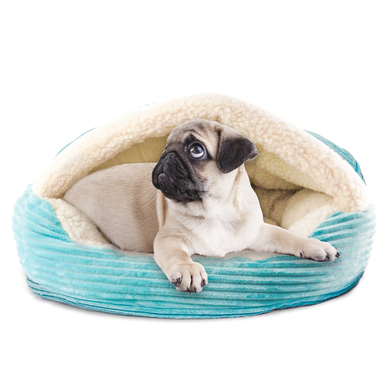 Precious Tails Plush Corduroy And Sherpa Lined Pet Dog Bed