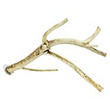 Exotic Nutrition Multi-Branch Perch (Medium) - Durable Branch Cage Accessory - Sugar Gliders， Rats， Parrots， Conures， Birds