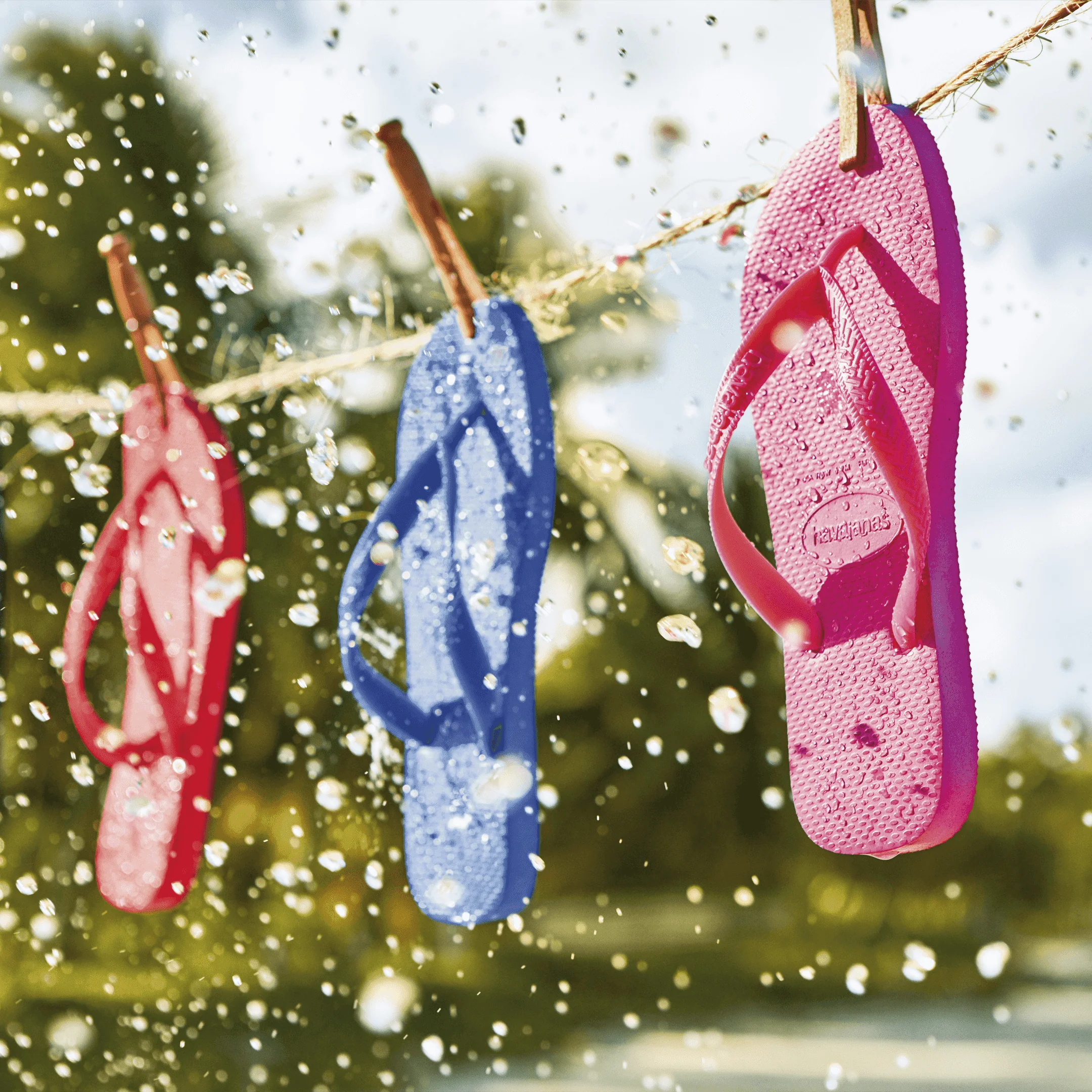 Chinelo Havaianas Top