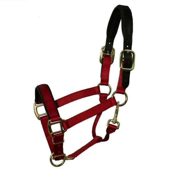 Intrepid International TH41BK Size 5-8 Breakaway Halter Padded Crown and Noseand#44; Black - Cob