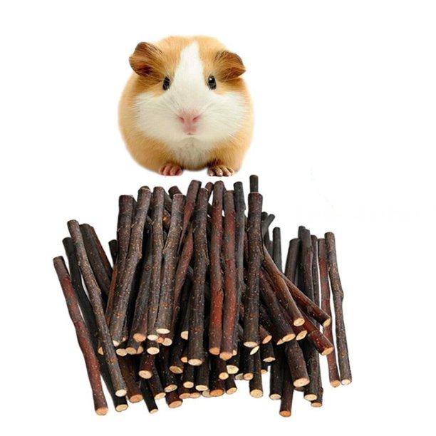 Fovien Pet Chew Toys Molar Toys for Rabbit Chinchilla Guinea Pig Hamster Parrots Squirrel 1