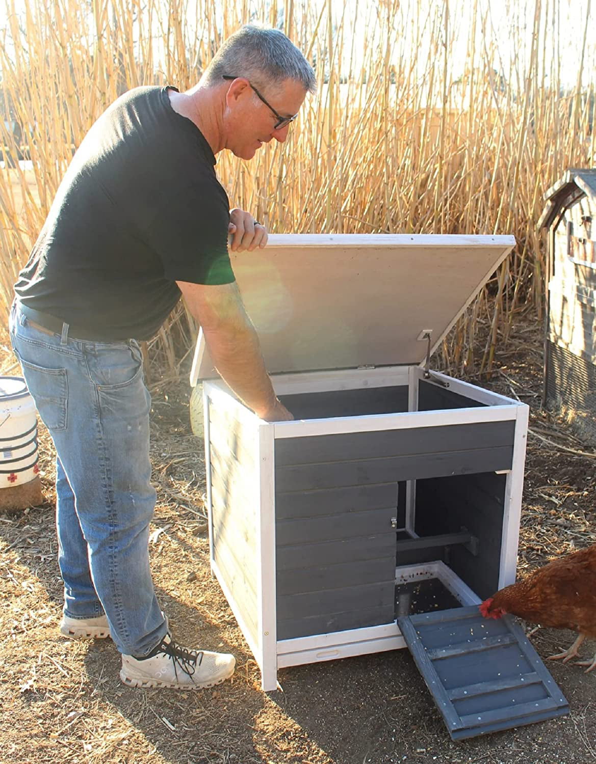 Zylina Nesting and Roosting Box Wood Chicken Coop for Chickens
