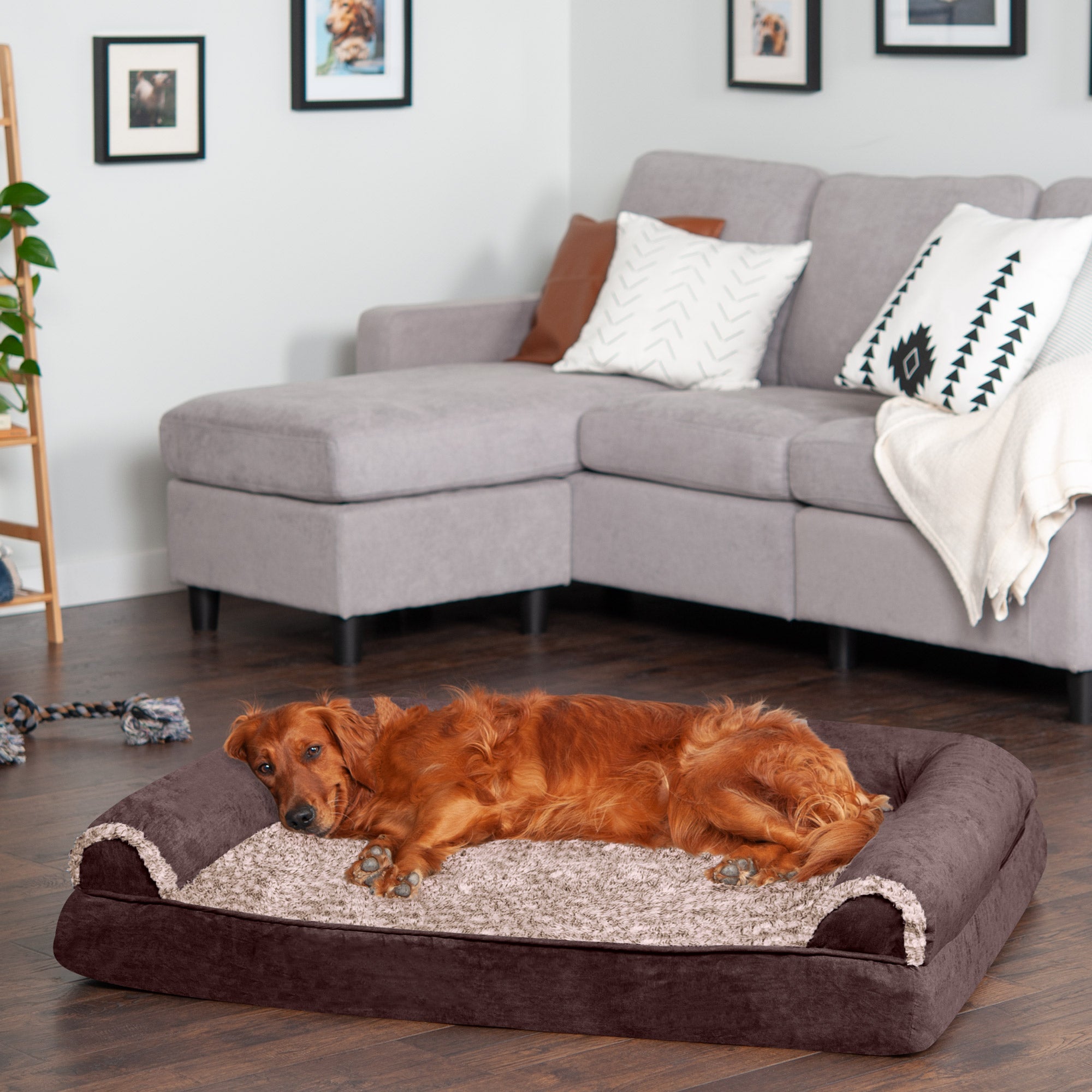 FurHaven Pet Products | Memory Foam Two-Tone Faux Fur and Suede Sofa-Style Couch Pet Bed for Dogs and Cats - Espresso， Jumbo