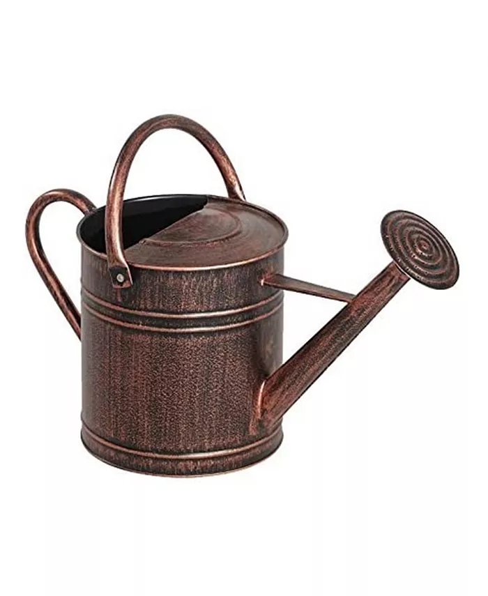 Panacea Metal Watering Can， Brushed Bronze， 2 Gallons