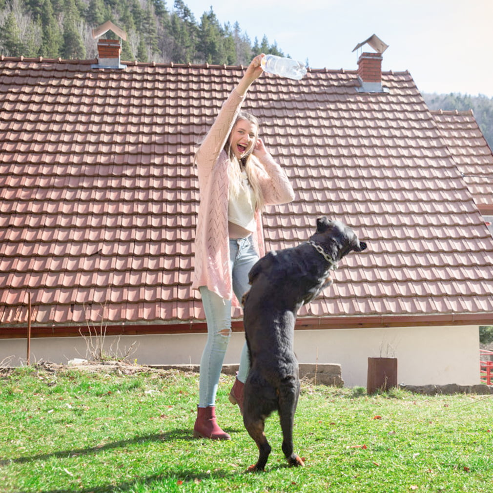 BestPet Folding Dog Crate with Divider and Tray， 42