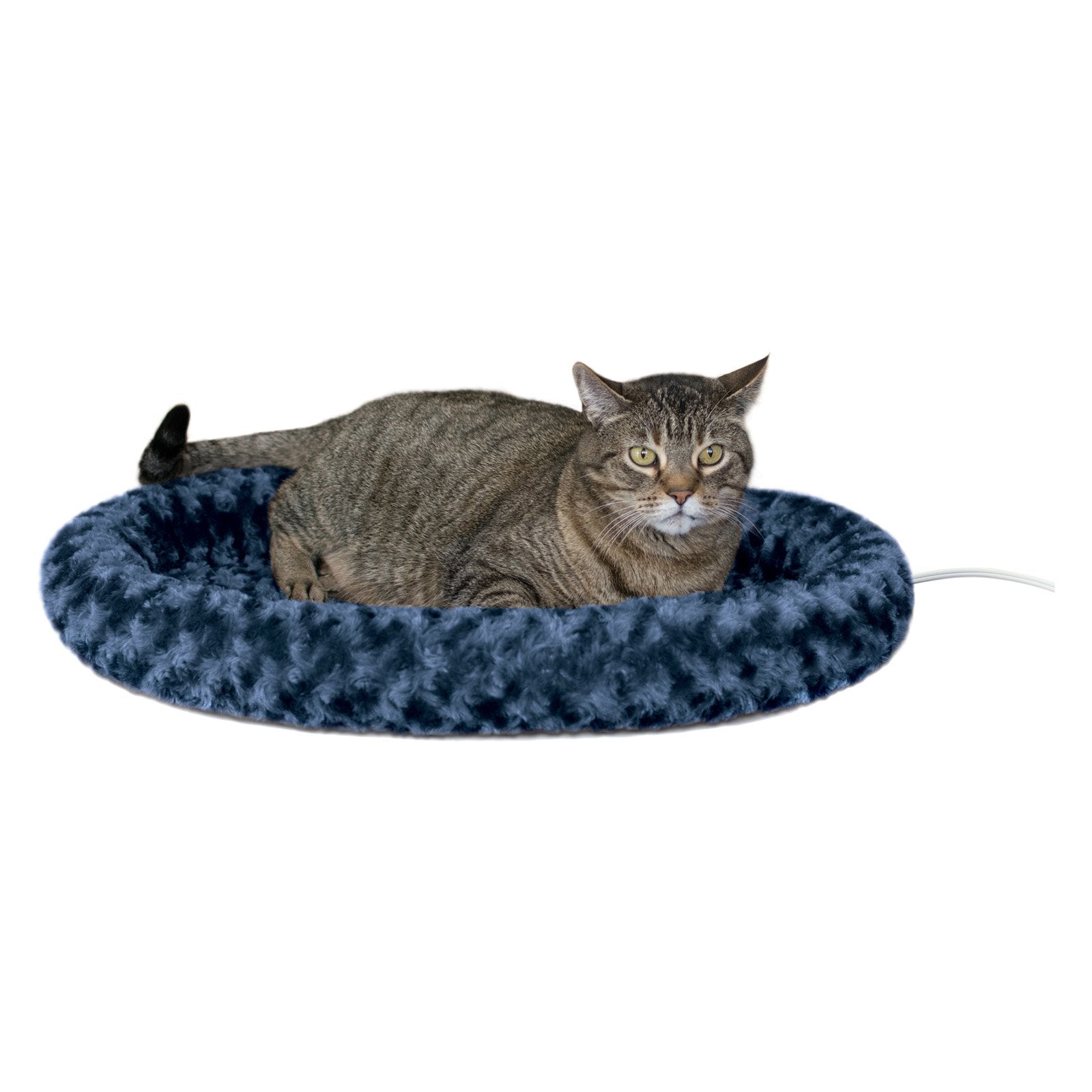 Thermo-Kitty Fashion Splash Large Blue 16
