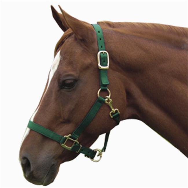 Intrepid International 1ZAS811GN Nylon Horse Halterand#44; Horse - Green