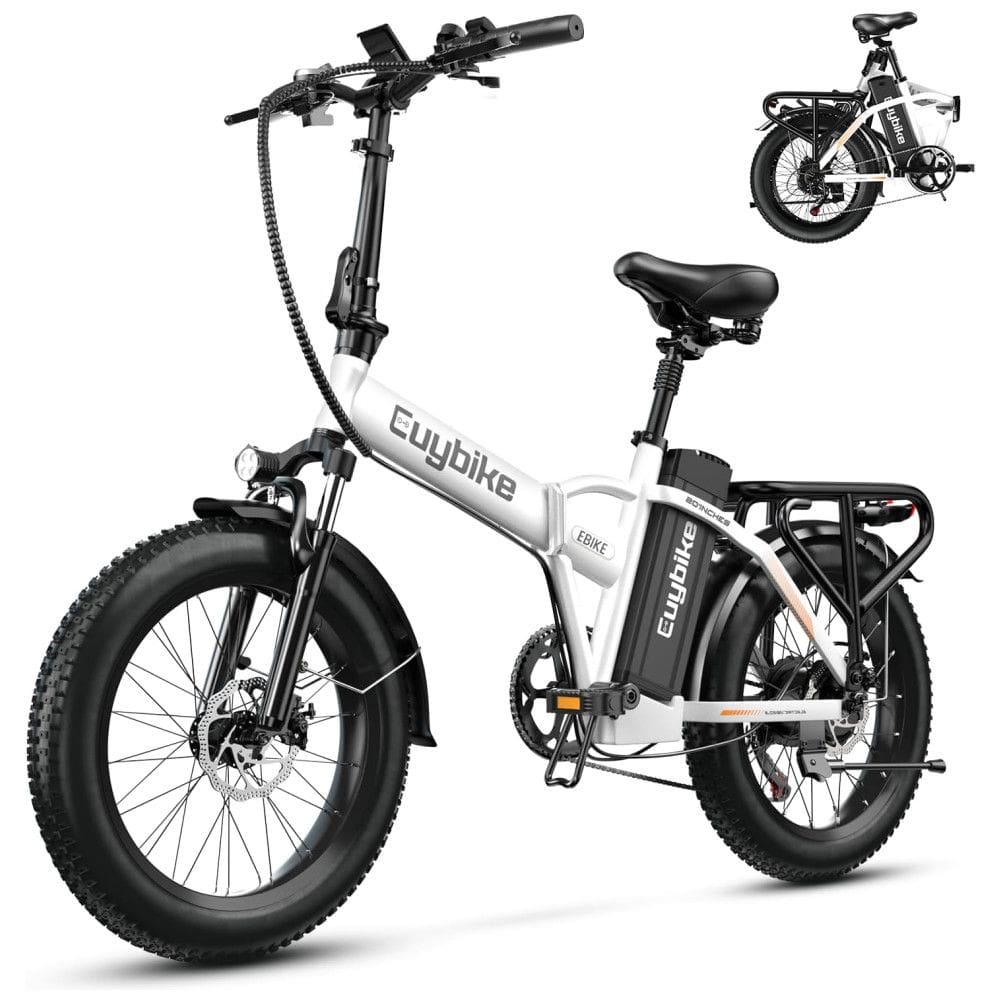 Bicicleta Elétrica Dobrável bluebiko F6B com Motor Brushless 750W (Pico 1000W), Bateria Removível 48V 20Ah, Freios a Disco Duplos e Sistema