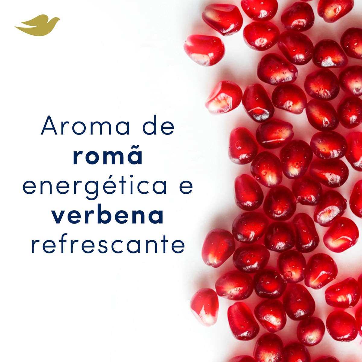 Desodorante Antitranspirante Aerosol Dove Roma e Verbena 150ml