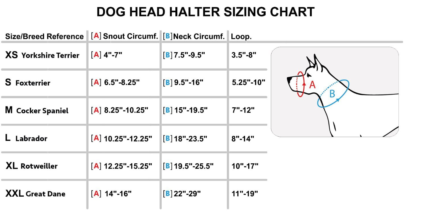 Dog Head Collar Halter Blue 5 Sizes (L: 10.25