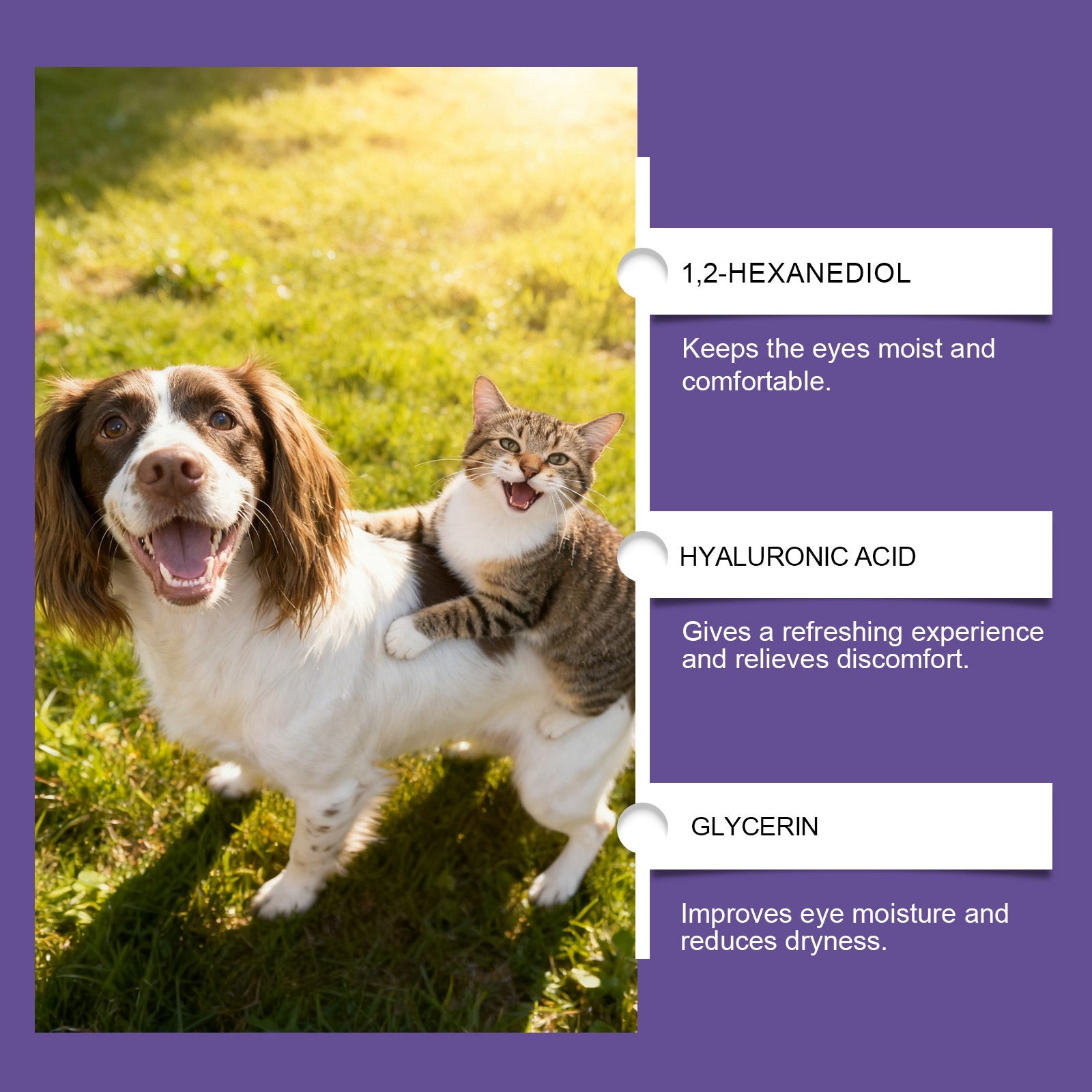 Pet Eye Drops | Eye Care Drops – Clear & Healthy Vision