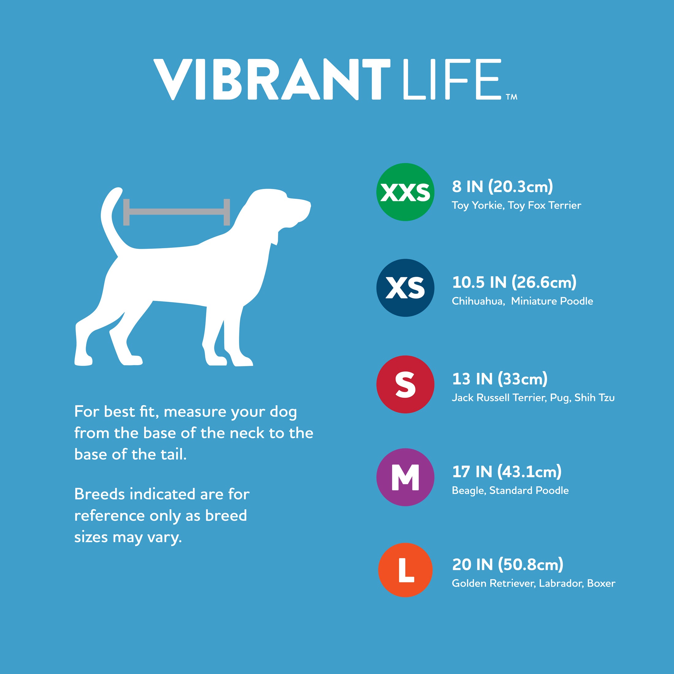 Vibrant Life Polyester Best Camp Buddy Dog T-Shirt， Green， S