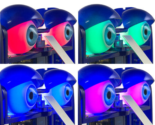 Illuminating Eyes for Ohbot | Coding Robot Eyes for Programming and Learning | Above 3 years