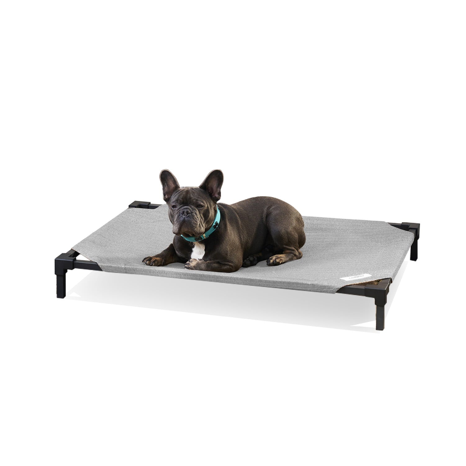Coolaroo Cooling Elevated Dog Bed Pro， Medium， Fits in 42in Crates， Steel