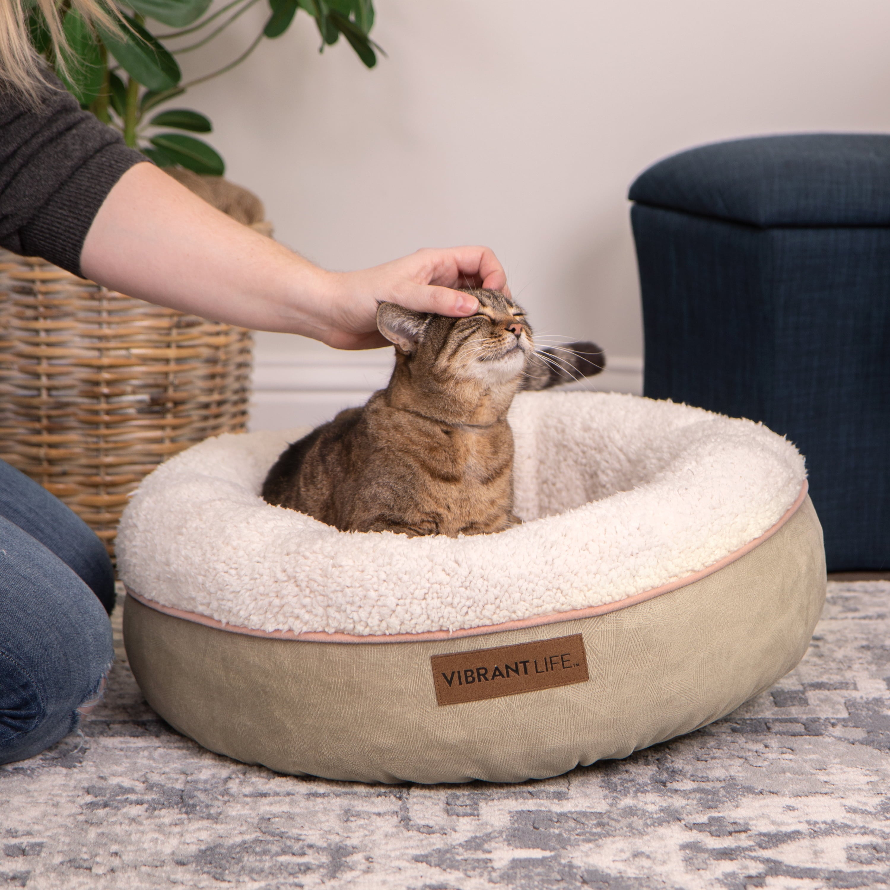 Vibrant Life Sweet Sleeper Pet Bed Mattress Edition， Small， 22