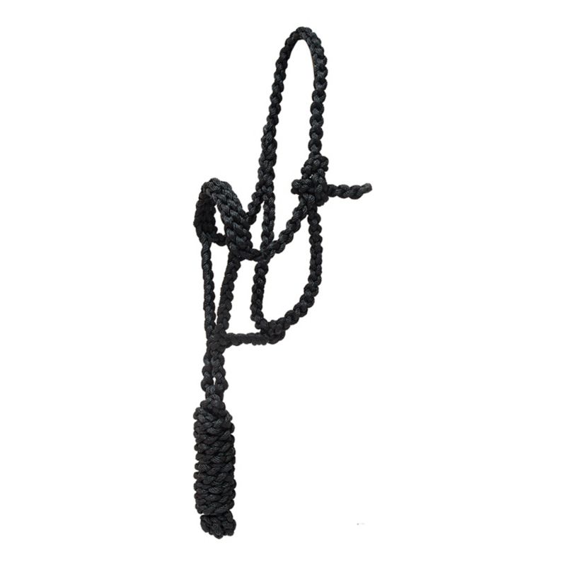 Mustang Pony Flat Nylon Noseband Halter Black
