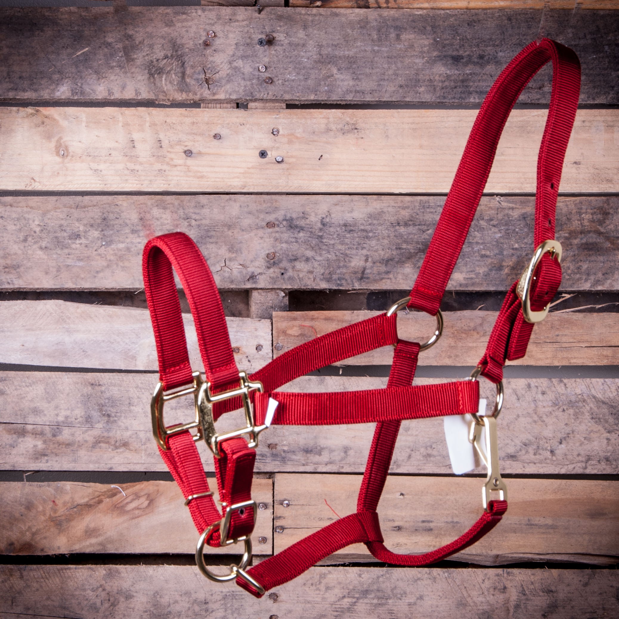 Yearling Adjustable Halter w/Throat Snap #38Y Color: Red