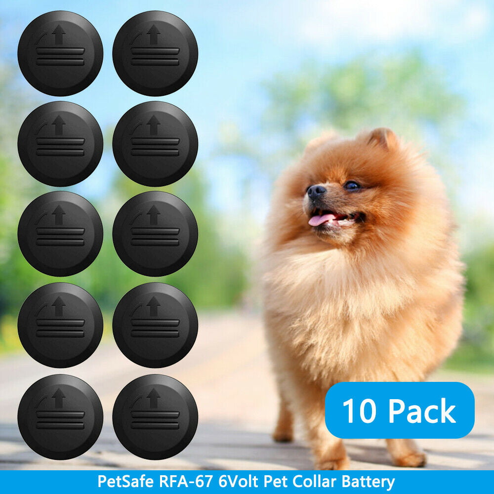 10 Pack 6V PetSafe RFA-67 Replacement Batteries Compatible with PetSafe Dog Collars