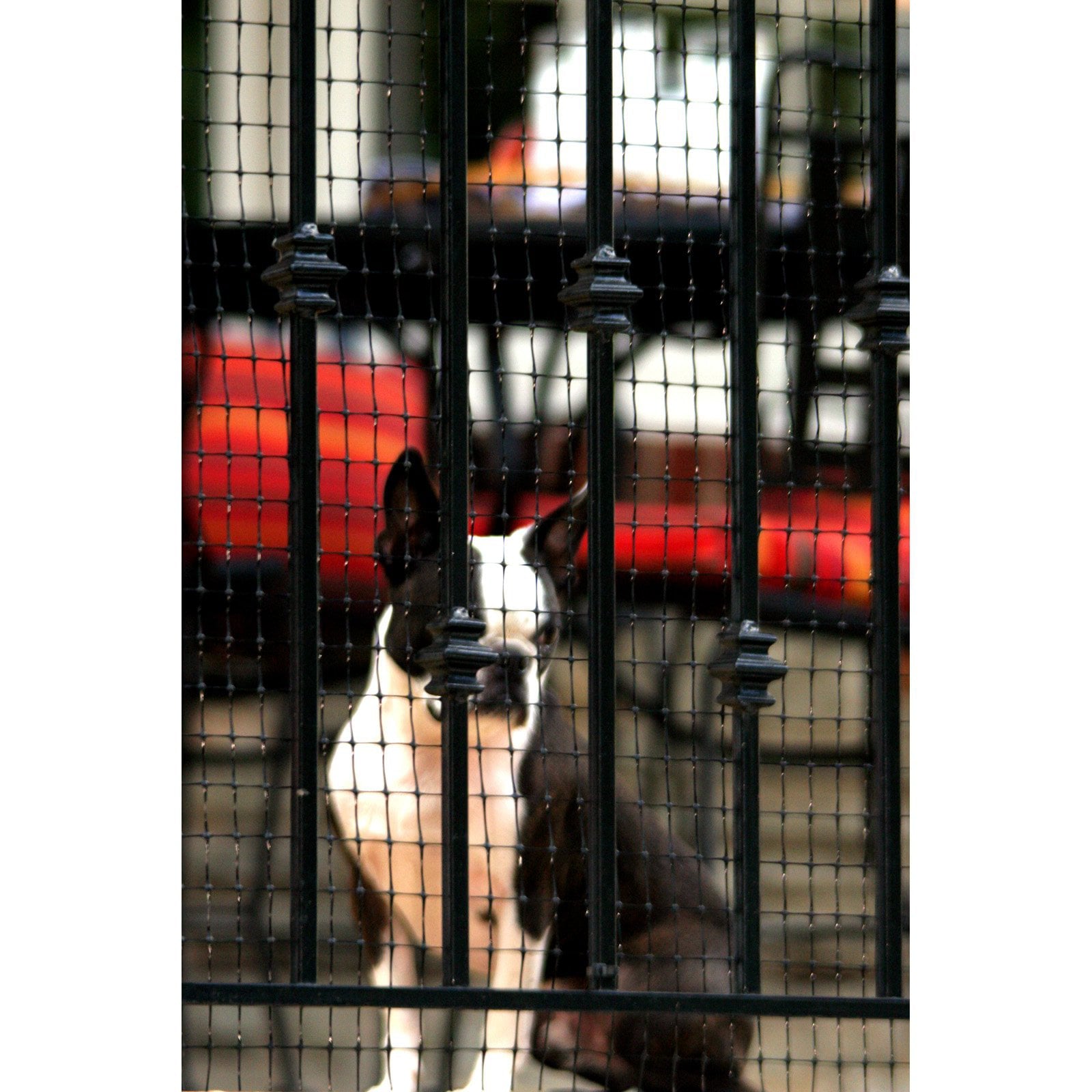 Cardinal Gates Deck Shield Outdoor Pet Safety Netting， Black