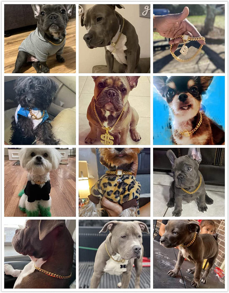 Gold Dog Chain Collar， 10mm Metal Chain Collar Cuban Link Puppy Collar Stainless Steel with CZ Diamond Lock Bling Choke Collar for Dogs(10inches)