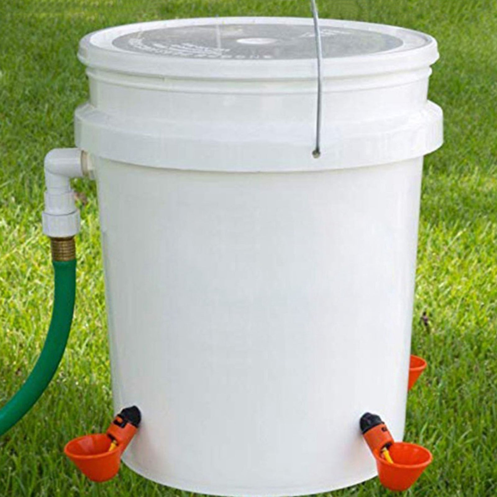 5PCS Livestock Poultry Drinking Cup Feed Automatic Feeder Bird Coop Chicken Fowl Pipe Fitting