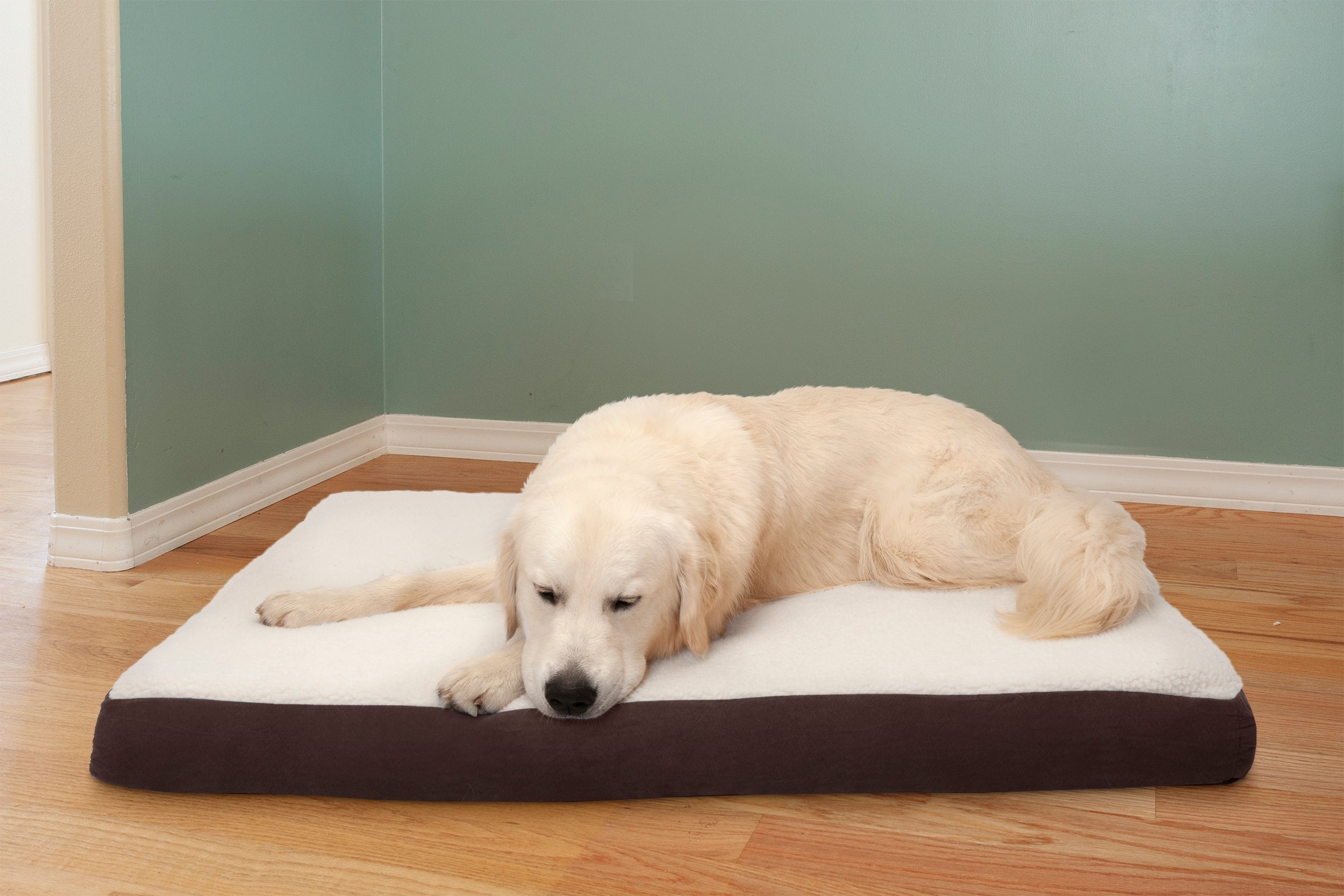 FurHaven Pet Products Faux Sheepskin and Suede Deluxe Orthopedic Dog Bed - Espresso， Jumbo