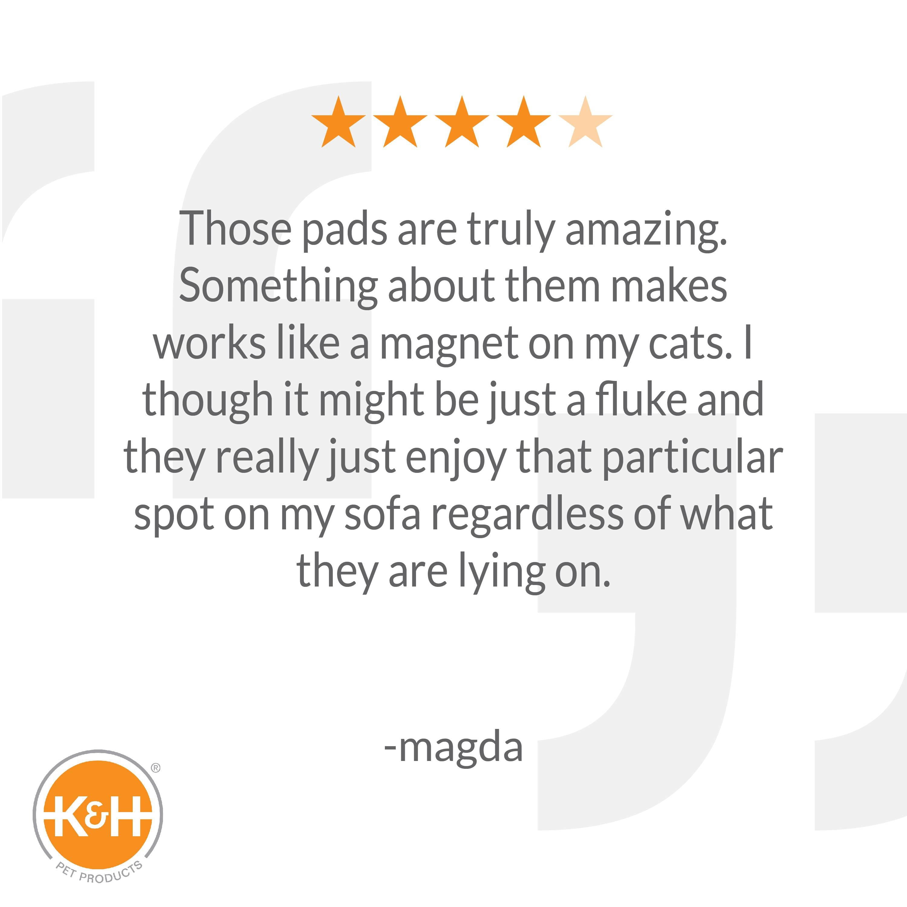 KandH Pet Products Amazin' Kitty Pad， 20